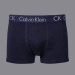 شورت مردانه CK پادار